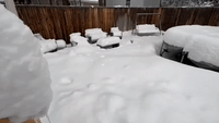 Snow Covers Flagstaff Backyard Amid Winter Storm Warning in Northern Arizona