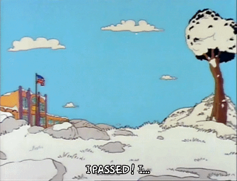 Season 2 GIF by The Simpsons