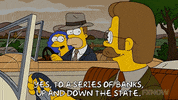 Episode 12 GIF by The Simpsons