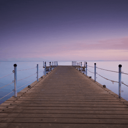 maryhuntly giphygifmaker giphyattribution GIF