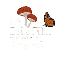 Tiff Evia Sticker by Thessaloniki International Film Festival