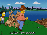 homer simpson episode 13 GIF