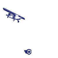 Fly Airplane Sticker by Pilot Institute