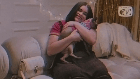 Excited Pet GIF by Coach