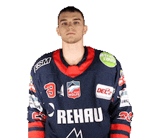 Ready To Fight Ice Hockey Sticker by Selber Wölfe