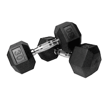 Fitness Working Out Sticker by Charcurtis