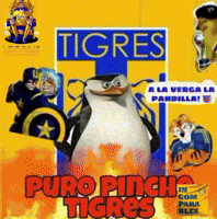 Liga Mx Tigres GIF