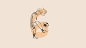 gabrielabran gabrielabran GIF