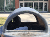 College Squirrel GIF by Eastern Washington University