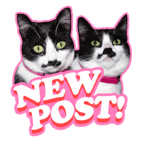 New Post Click Sticker
