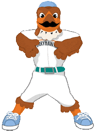 ferryhawks frankie staten island hypesquad staten island ferryhawks Sticker
