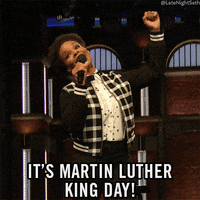 Seth Meyers Lol GIF by Late Night with Seth Meyers