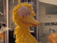 Sesame Street Fire GIF by Bell Brothers