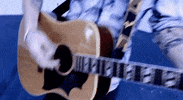 chris shiflett west coast town GIF by SideOneDummy Records