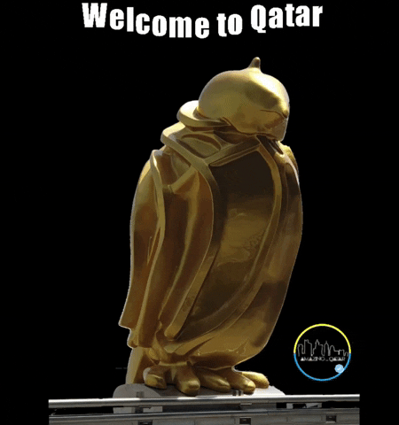 Fifa Falcon GIF by Amazing Qatar