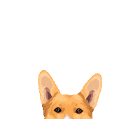 Dog Corgi Sticker by Pickle's Pawtraits