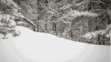 Snow Images GIF by Uinta Brewing Co