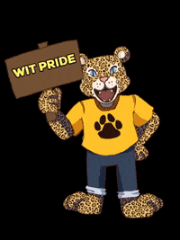 wentworthalumnioffice  GIF