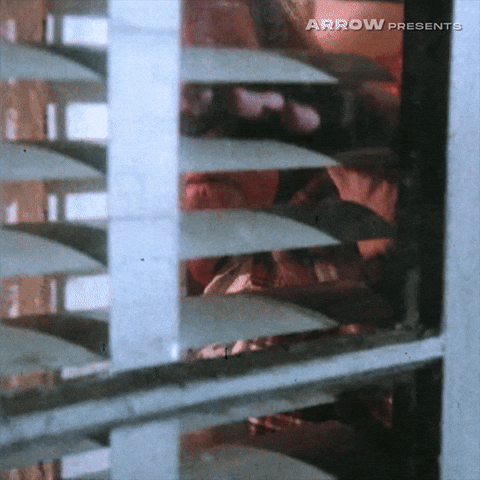 Kristy Swanson Horror GIF by Arrow Video