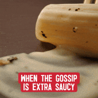 Dinner Foodie GIF by Barilla