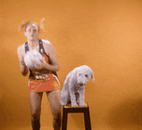 Giants Netball Dog GIF by GIANTS