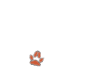 oliviasillustrations foxes aftg all for the game oliviaillustrations Sticker