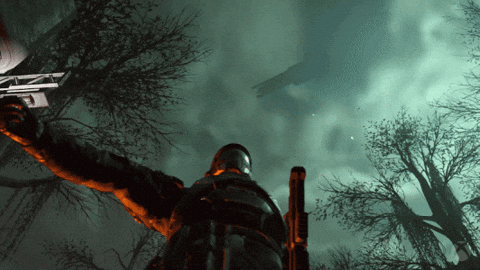 Fight Freedom GIF by Xbox