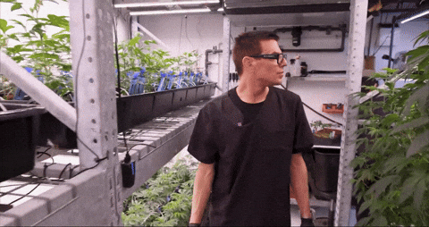 Bloom Andrew GIF by Exclusive Brands