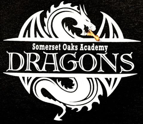 SomersetOaksAcademy giphygifmaker giphyattribution soadragons soa dragon GIF