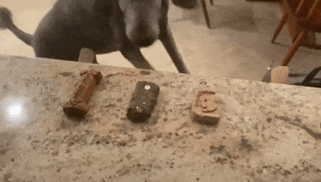 Dog Biscuit Dogs GIF by Smart for Life
