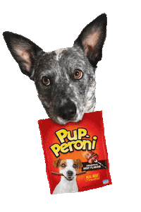 PupperoniTreats happy dog yes excited Sticker