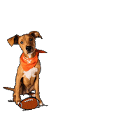 Football Eat Sticker by Puppy Bowl
