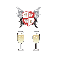 Cheers Wedding Sticker by palac Goetz