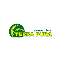 sementesterradura sementes arroz lavoura terra dura Sticker