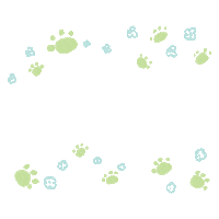 Cat Bunny Sticker