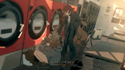 Mv GIF
