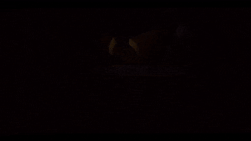 Method Man GIF by HULU