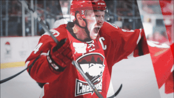 hockey GIF by Charlotte Checkers