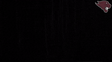Baseball Sweep GIF by CUCougars