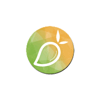 MangoCannabis ok 420 marijuana cbd Sticker