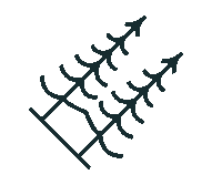 Real Estate Tree Sticker by Realtor Tara Sullivan