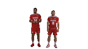 tvforgtr volleyball voleybol tvf eurovolley Sticker
