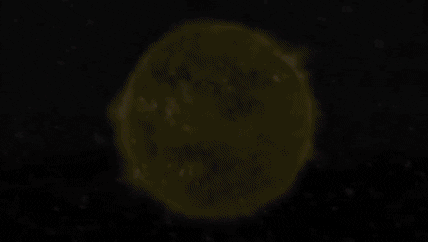 Art Calm Down GIF by J. Lupo Arms
