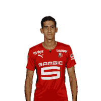 Football Rennes Sticker by Stade Rennais F.C.