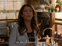 season 4 netflix GIF by Gilmore Girls 