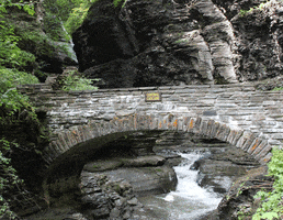 waterfall wtf GIF by irgum
