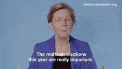Voting Elizabeth Warren GIF by Swing Left