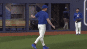 Blue Jays Baseball GIF by Toronto Blue Jays