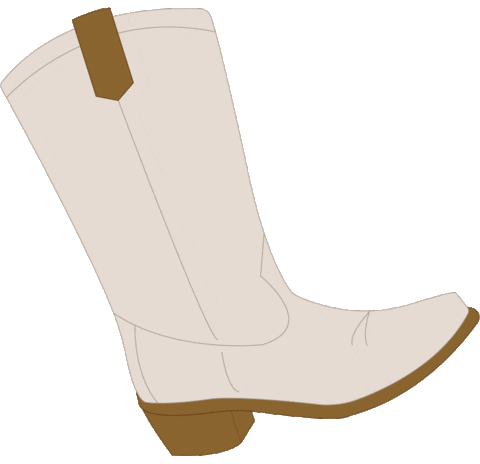 Bij-Keesje giphyupload shoes cowboy laars Sticker