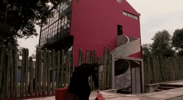 frida kahlo mexico GIF